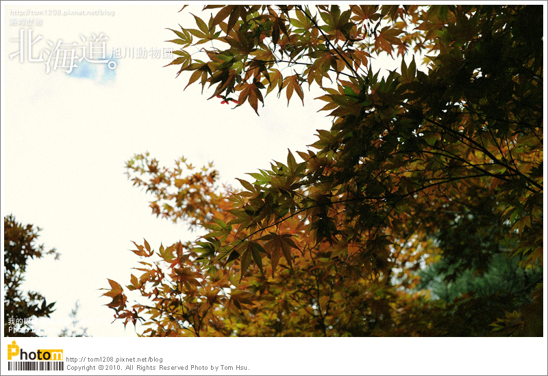 TOM-0730-161.jpg TOM-0730-161.jpg