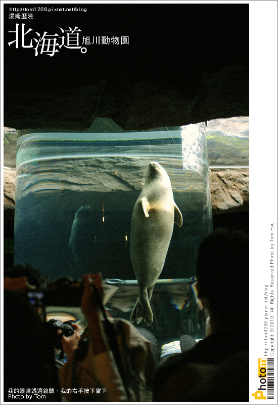 TOM-0730-162.jpg TOM-0730-162.jpg