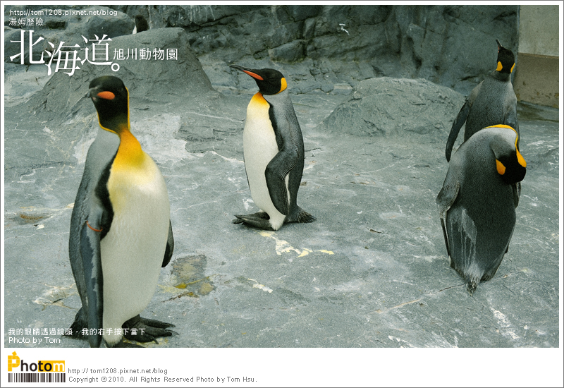 TOM-0730-172.jpg TOM-0730-172.jpg