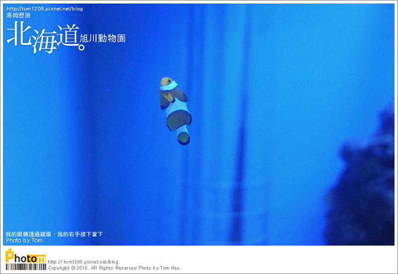 TOM-0730-177.jpg TOM-0730-177.jpg