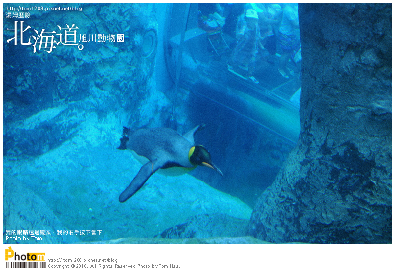 TOM-0730-175.jpg TOM-0730-175.jpg