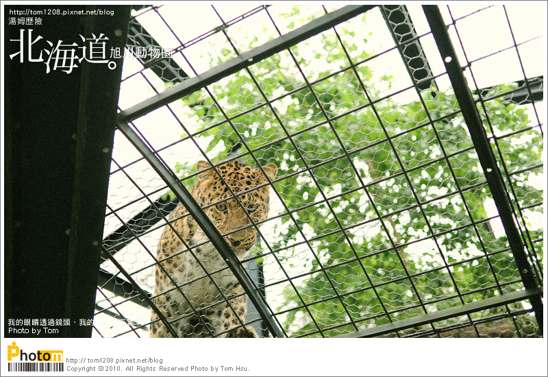 TOM-0730-171.jpg TOM-0730-171.jpg