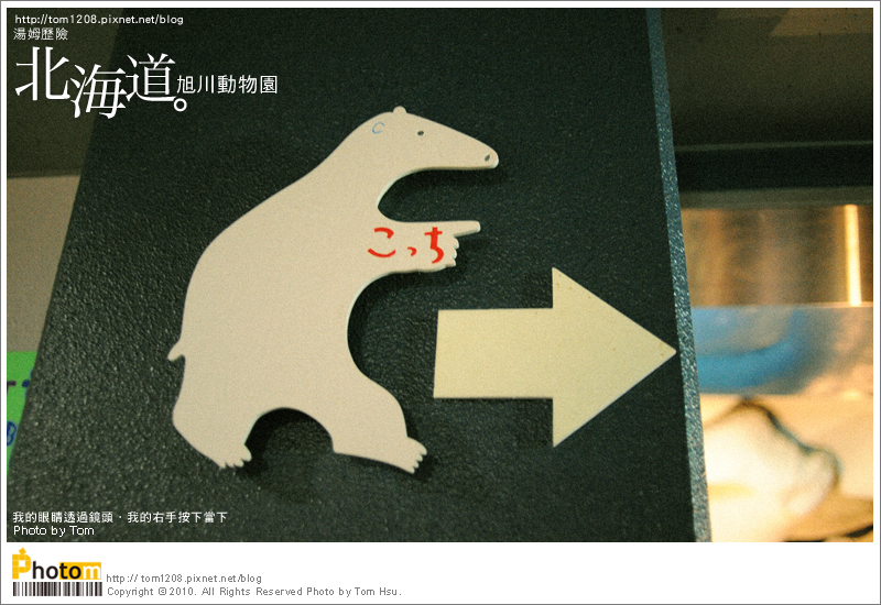 TOM-0730-163.jpg TOM-0730-163.jpg