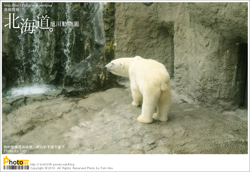 TOM-0730-165.jpg TOM-0730-165.jpg