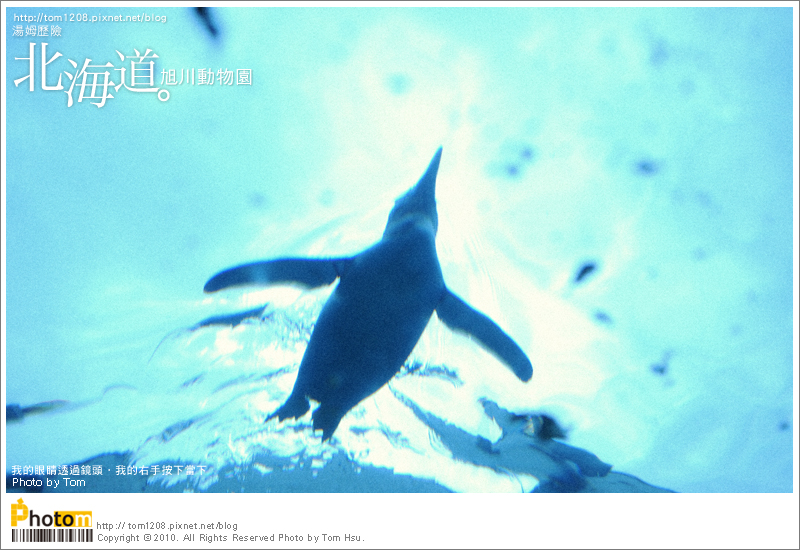 TOM-0730-173.jpg TOM-0730-173.jpg