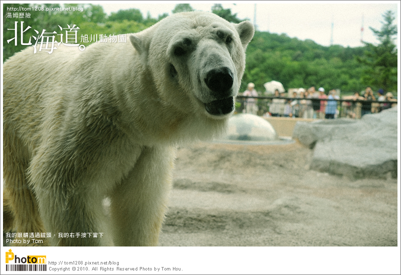 TOM-0730-164.jpg TOM-0730-164.jpg