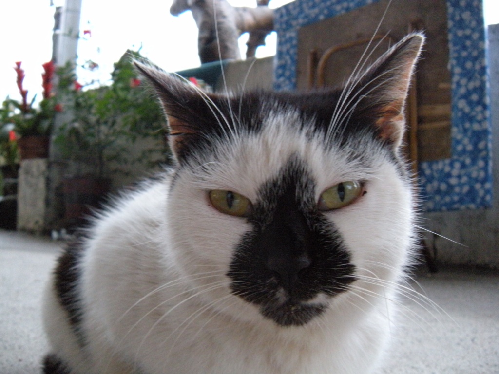 DSCN0836.jpg DSCN0836.jpg