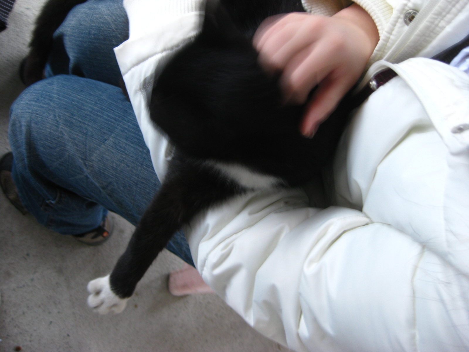 IMG_9849.JPG IMG_9849.JPG