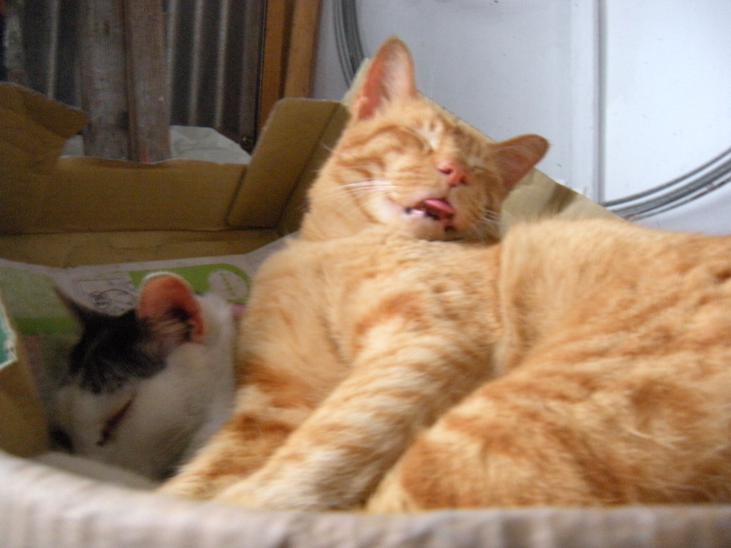 DSCN0834.jpg DSCN0834.jpg