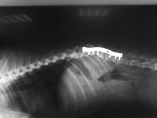 2013-11-05 18.31.28.jpg