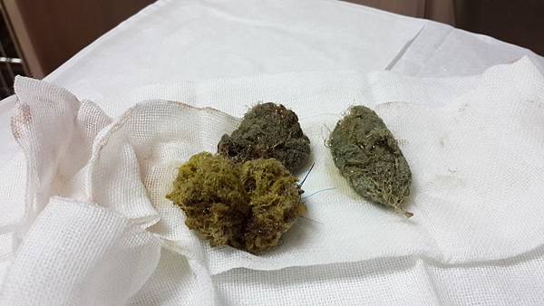 2014-02-06 16.15.15.jpg