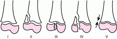 2009101512304977 2009101512304977