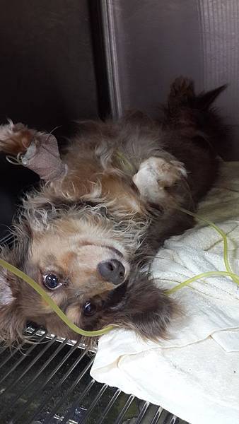 2014-05-03 20.14.50.jpg