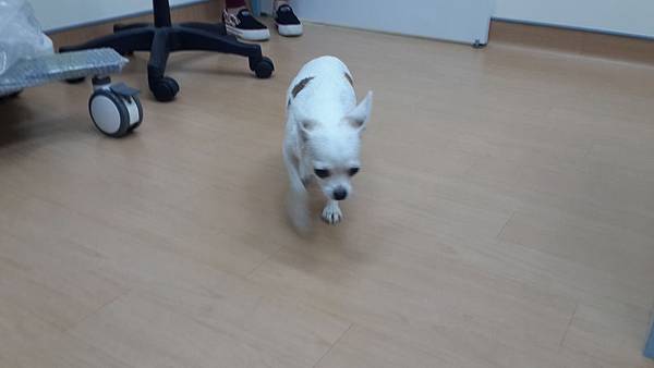 2014-05-31 10.40.18.jpg