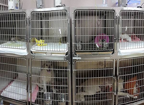 2014-05-25 14.07.49.jpg