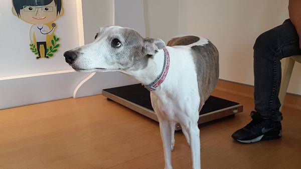20141120_161529.jpg