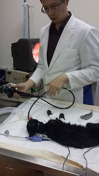20141122_130230.jpg
