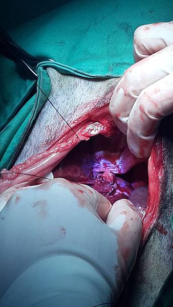 2015-03-25 19.19.56.jpg