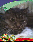 4rF88_CWbEb_jZPgtNMU_A