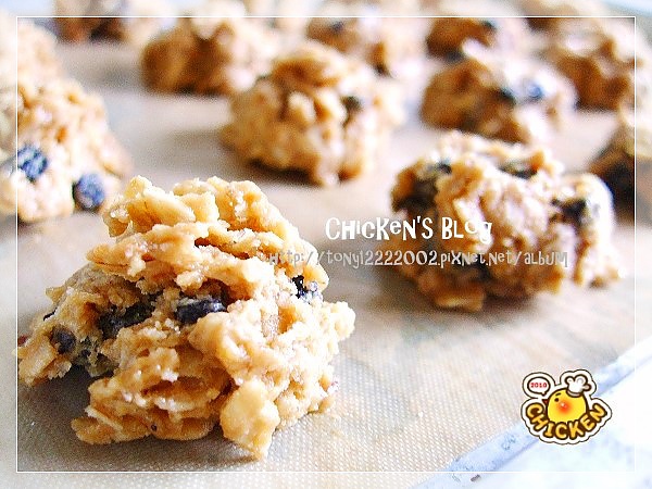 2010.08.06 Brown suger blue berry oats cookies5.jpg