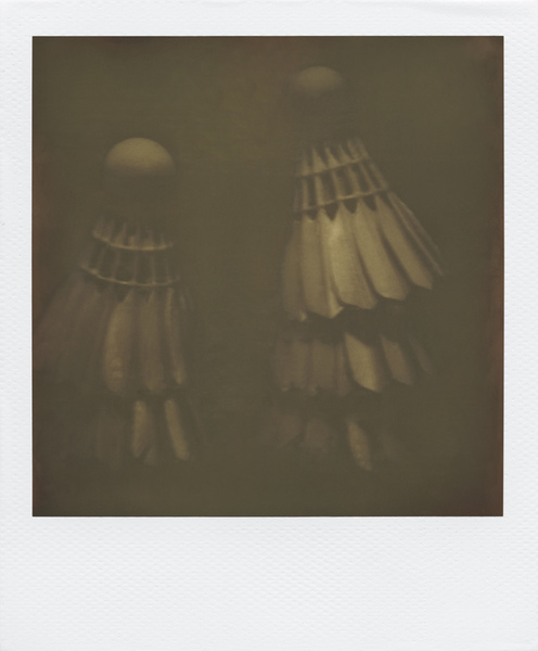 Ani_Asvazadurian_ImpossibleCollection.jpg Ani_Asvazadurian_ImpossibleCollection.jpg