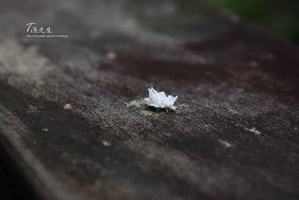 IMG_9078拷貝 IMG_9078拷貝
