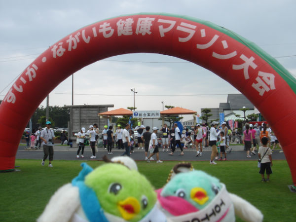 西瓜山藥健康馬拉松 西瓜山藥健康馬拉松