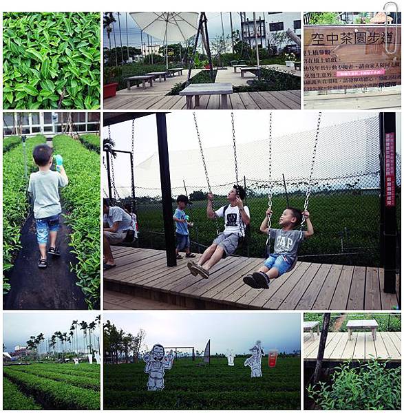 茶二指茶園 茶二指茶園