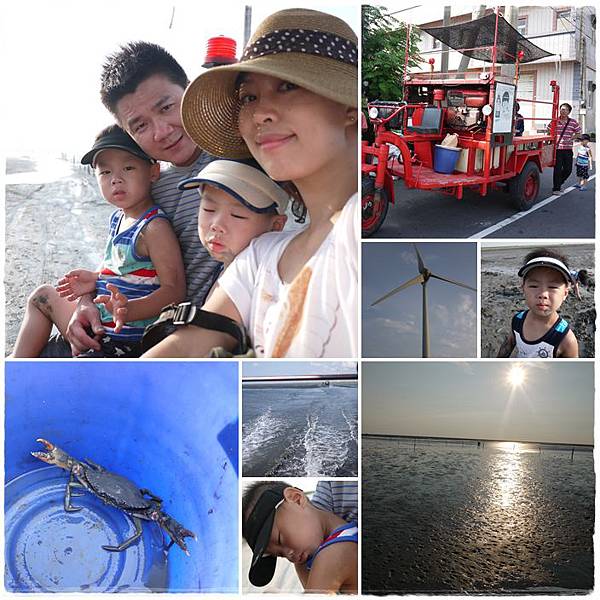 王功生態之旅 王功生態之旅
