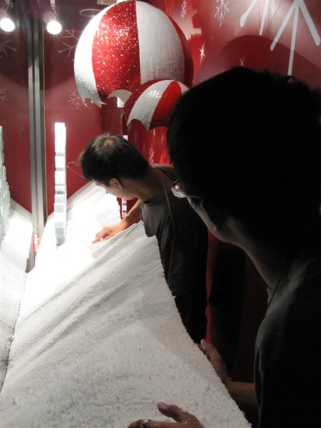 照片 010 (Large).jpg