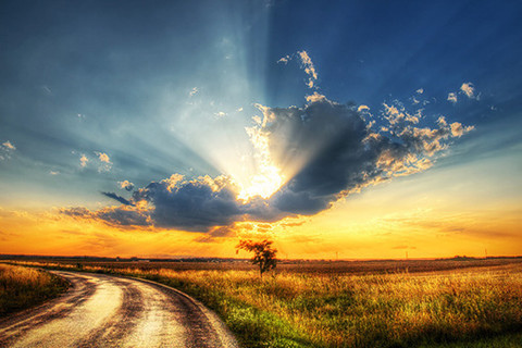 1729406f6360f323e60e7b