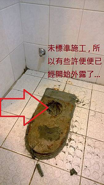 WP_20131231_008