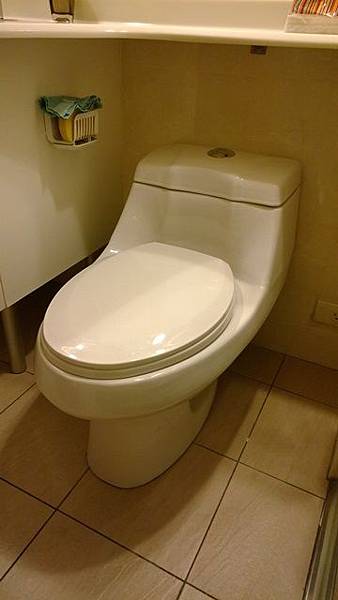 WP_20140109_008