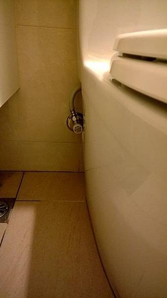 WP_20140109_014