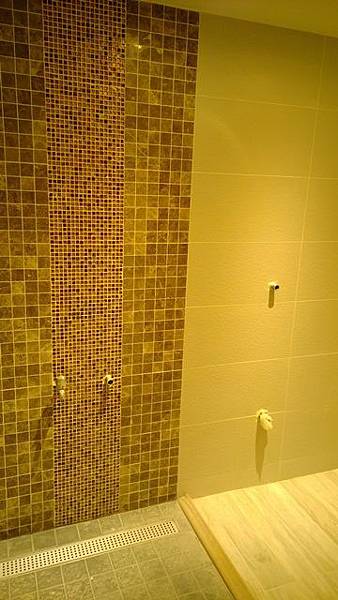 WP_20140124_004
