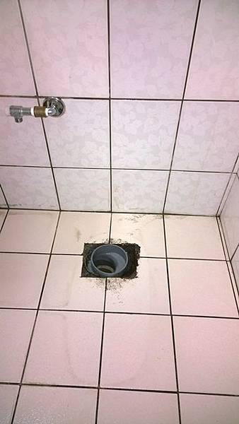 WP_20140731_14_19_10_Pro WP_20140731_14_19_10_Pro
