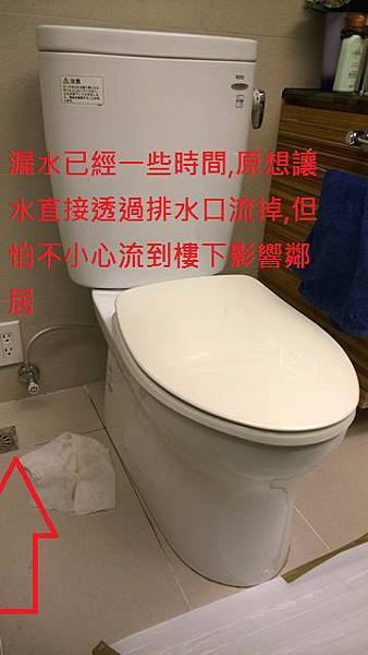 WP_20140904_12_59_17_Pro WP_20140904_12_59_17_Pro