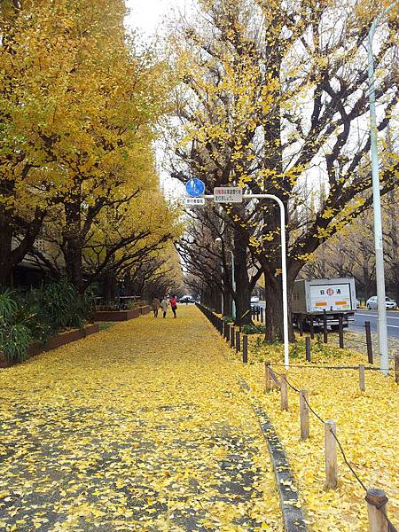 20131210_132331.jpg 20131210_132331.jpg