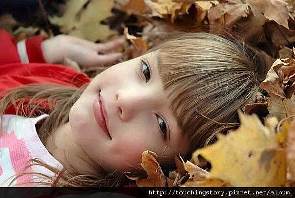 【勵志感人故事】別讓明年的秋天後悔今年的秋天