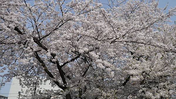 20120501_080 20120501_080