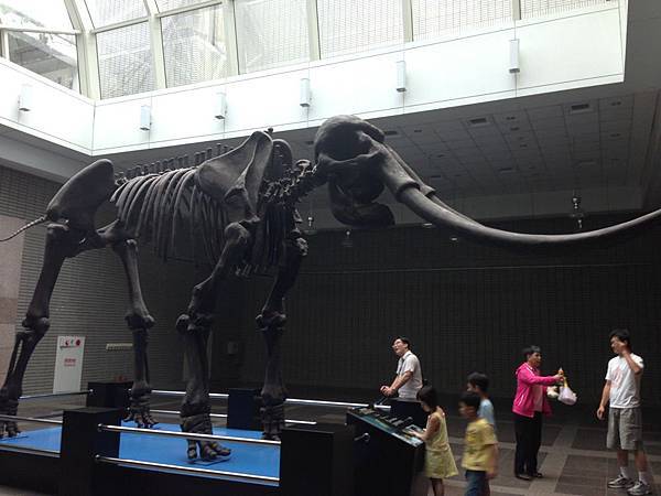 20130726_Taichung_340.jpg 20130726_Taichung_340.jpg