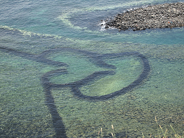 P6290286.jpg P6290286.jpg