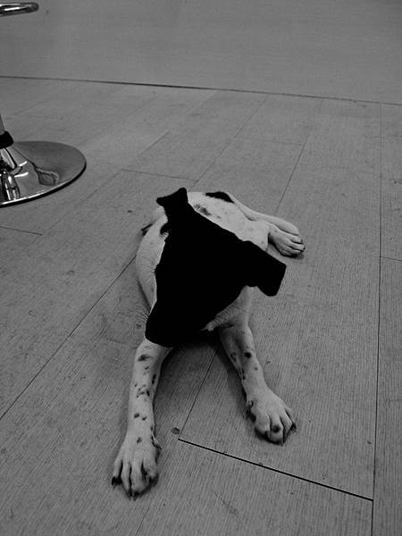 20100926-17-56-12.jpg 20100926-17-56-12.jpg