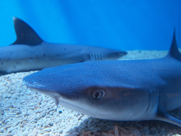 P7010573.jpg P7010573.jpg