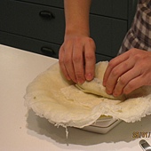 IMG_7468 IMG_7468