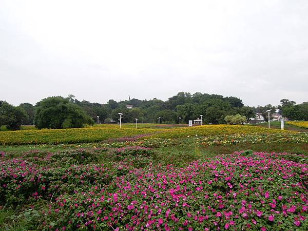 照片 152.jpg 照片 152.jpg