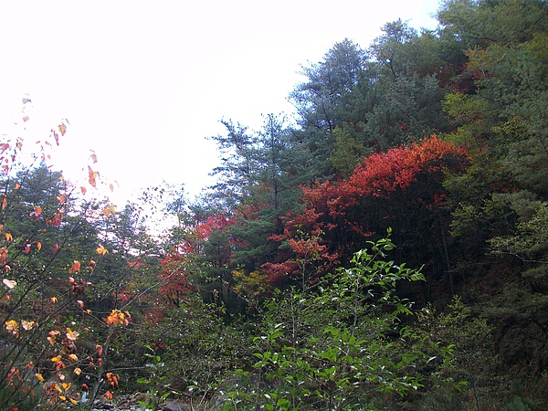 路途中美風景 路途中美風景
