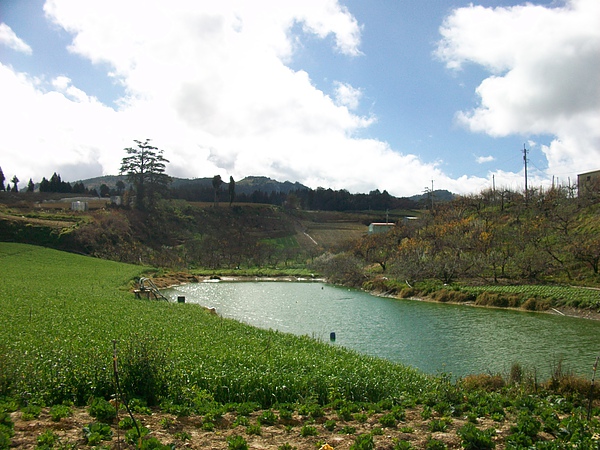 田園風光 田園風光