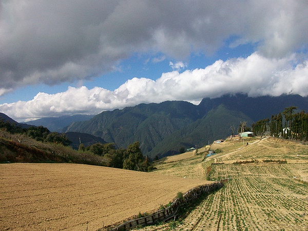 田園風光 田園風光