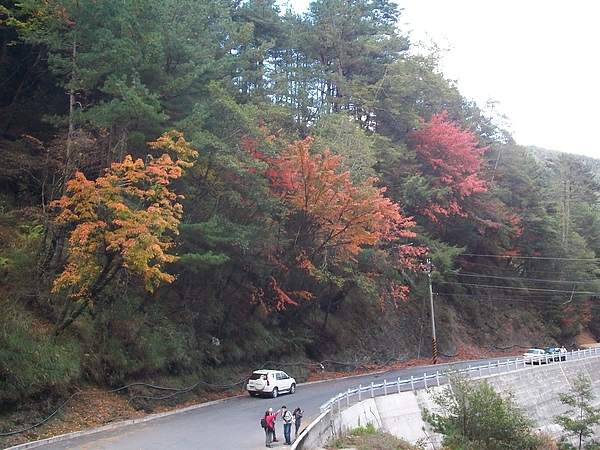 路途中美風景 路途中美風景